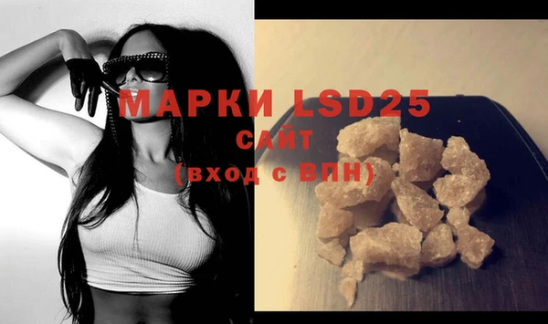 apvp Новозыбков