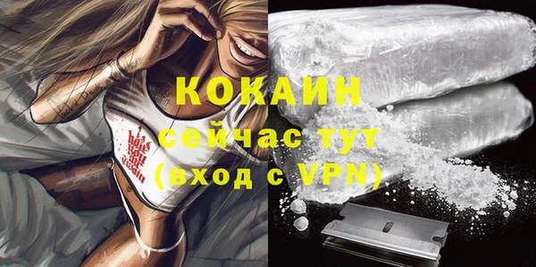 apvp Новозыбков