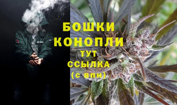 apvp Новозыбков