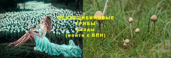 apvp Новозыбков