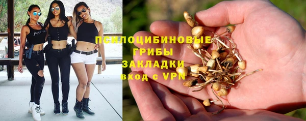 apvp Новозыбков